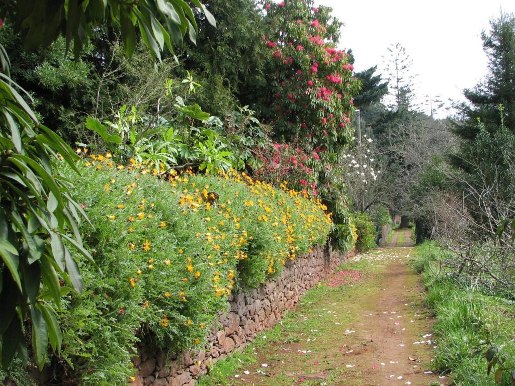 Camacha  Valle Paraizo מראה חיצוני תמונה